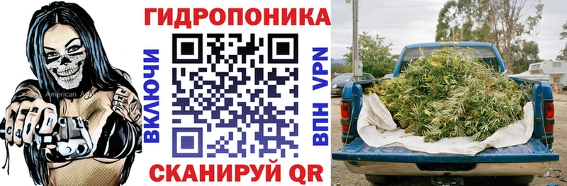 Канабис семена  как найти закладки  ОМГ ОМГ ссылка  Бийск 